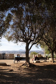  俄罗斯掌控扎波罗热核电站；安全重启在即，电力供应乌克兰待商议。 新闻 俄罗斯掌控扎波罗热核电站；安全重启在即，电力供应乌克兰待商议。 新闻 俄罗斯掌控扎波罗热核电站；安全重启在即，电力供应乌克兰待商议。 新闻