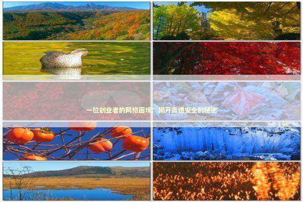 一位创业者的网络困境：揭开高速安全的秘密 新闻